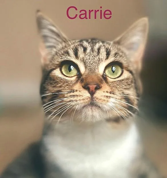 Norman & Carrie thumbnail 3