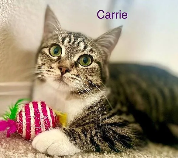 Norman & Carrie thumbnail 6