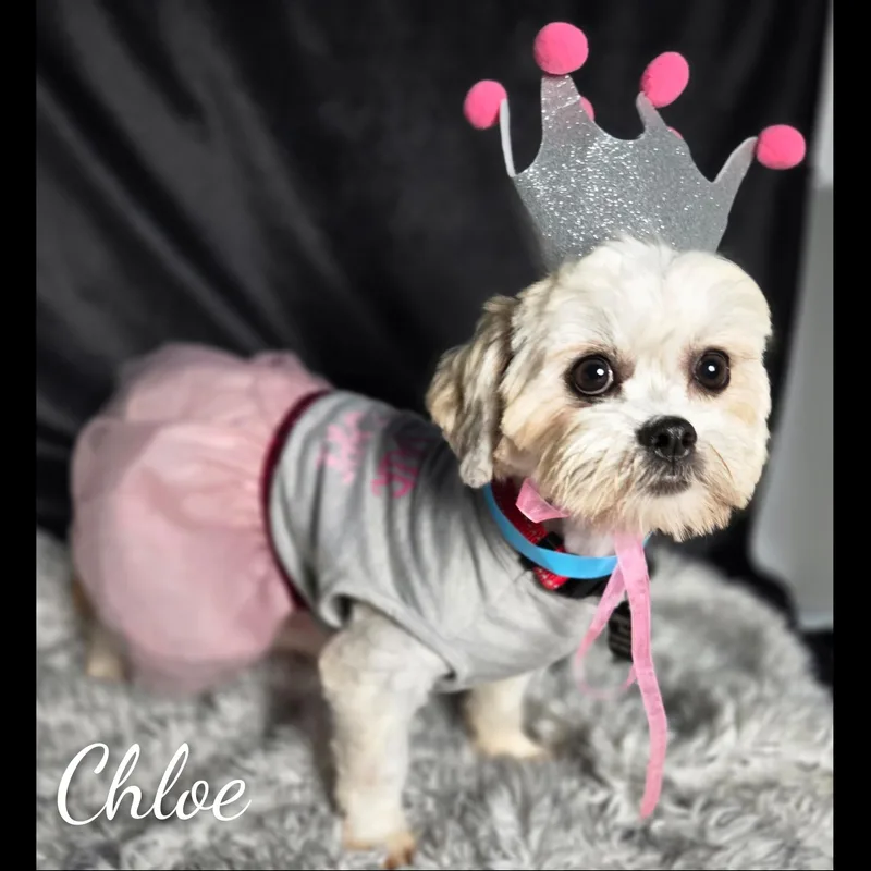 Chloe thumbnail 3
