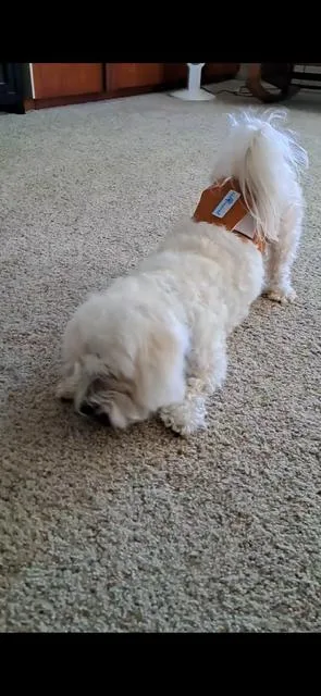 Charlie thumbnail 3