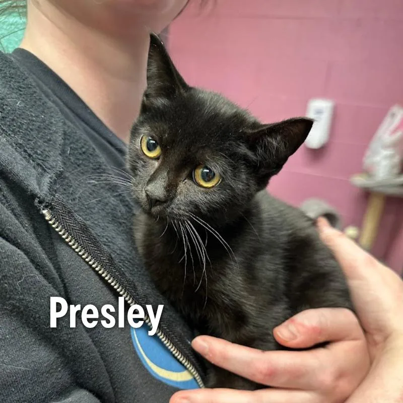 Presley