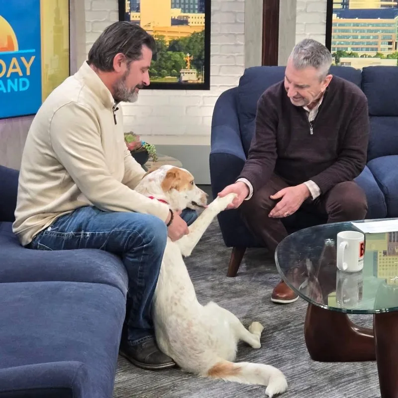 Cupcake Gci Trained Graduate!! thumbnail 3