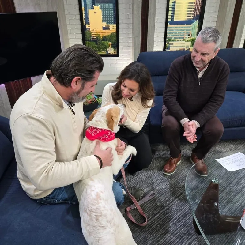 Cupcake Gci Trained Graduate!! thumbnail 5