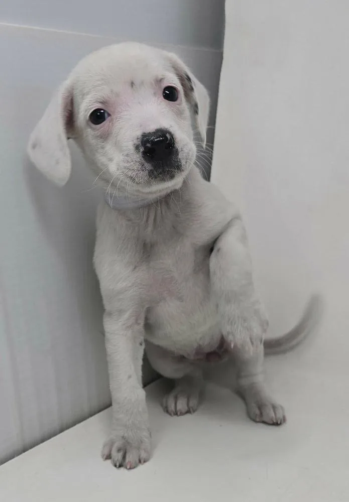 Felicity thumbnail 2