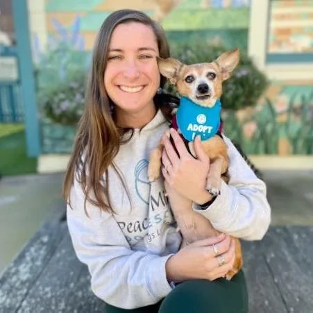 Plumaria thumbnail 4