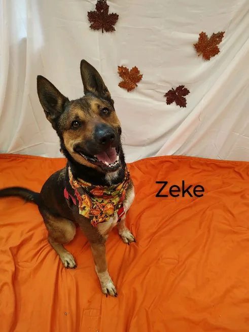 Zeke