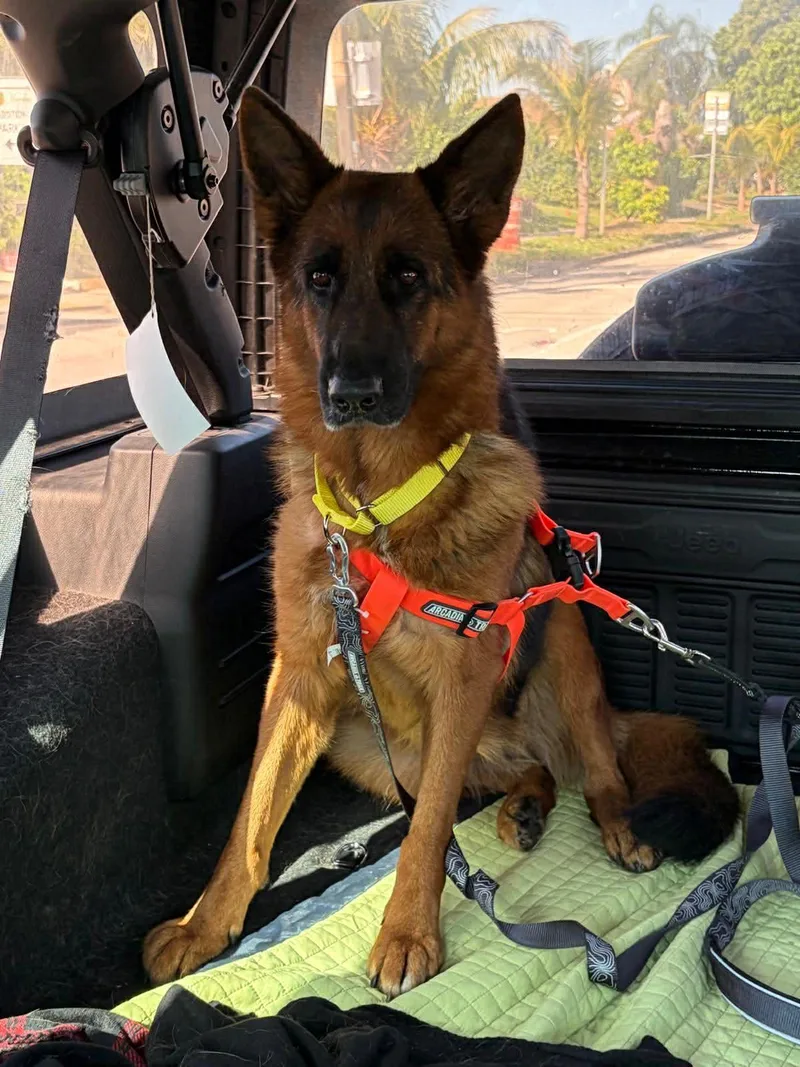 Valentina thumbnail 2