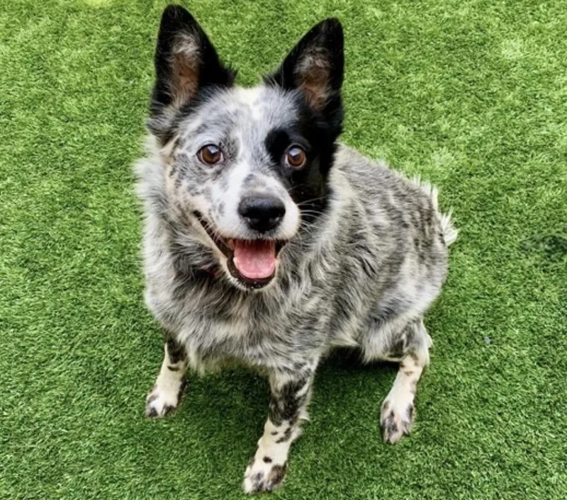 Urgent In So Cal