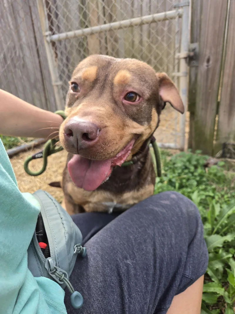 Redemption thumbnail 2