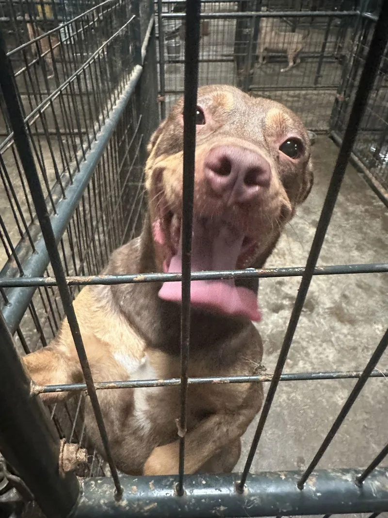 Redemption thumbnail 3