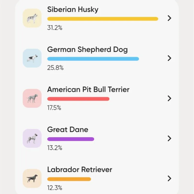 Dragonfly thumbnail 4