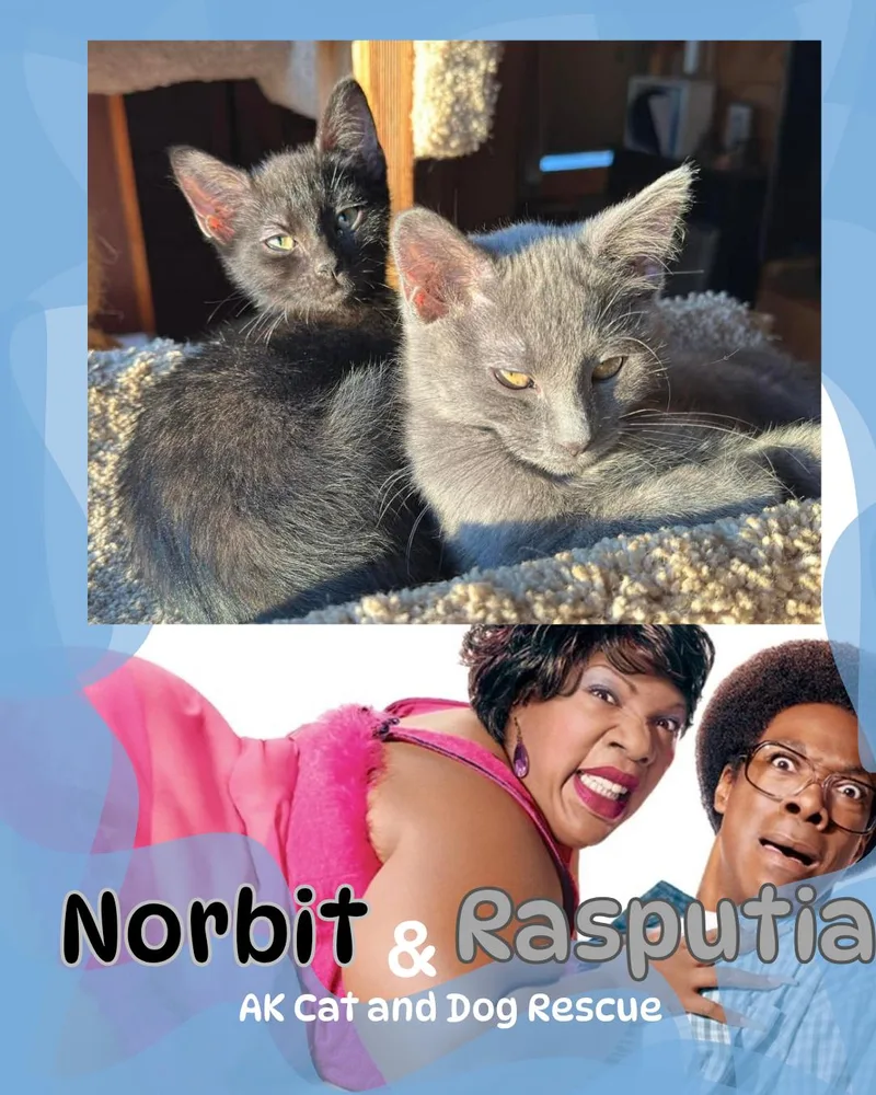 Norbit thumbnail 2