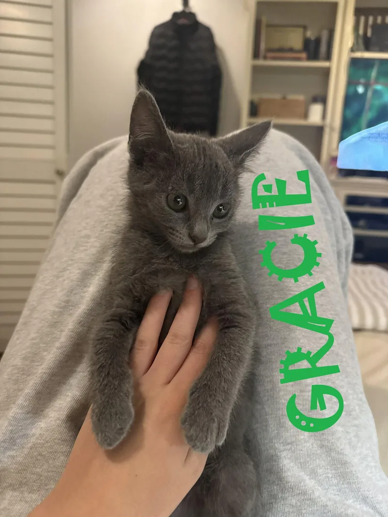 Grayson