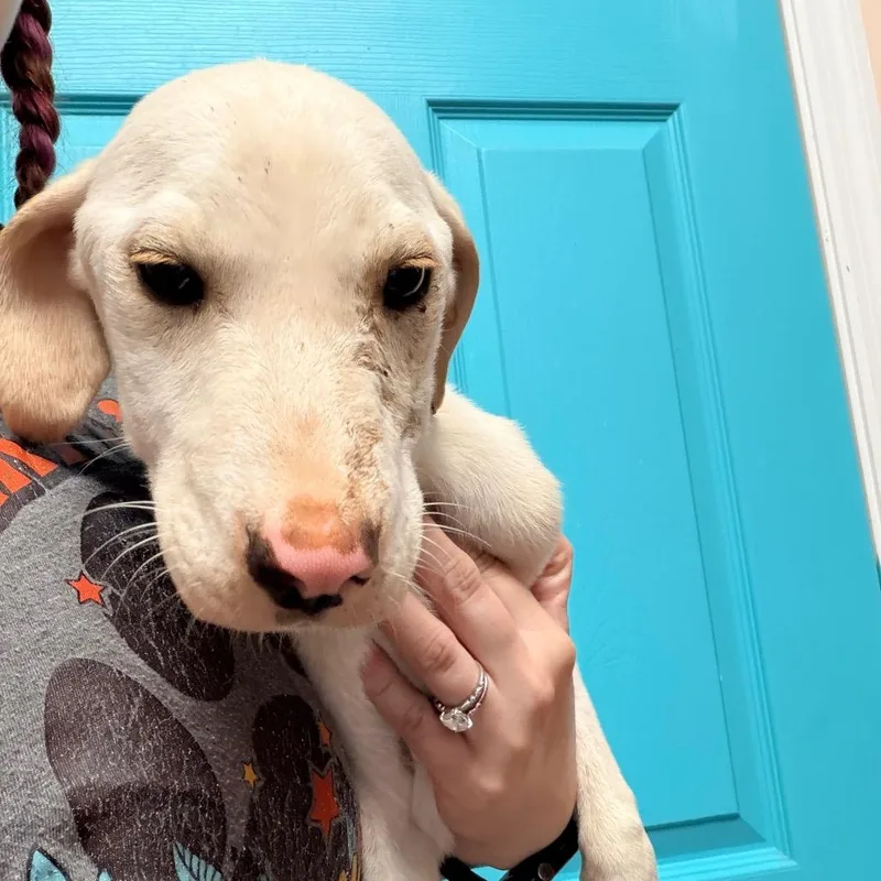 Macy thumbnail 2