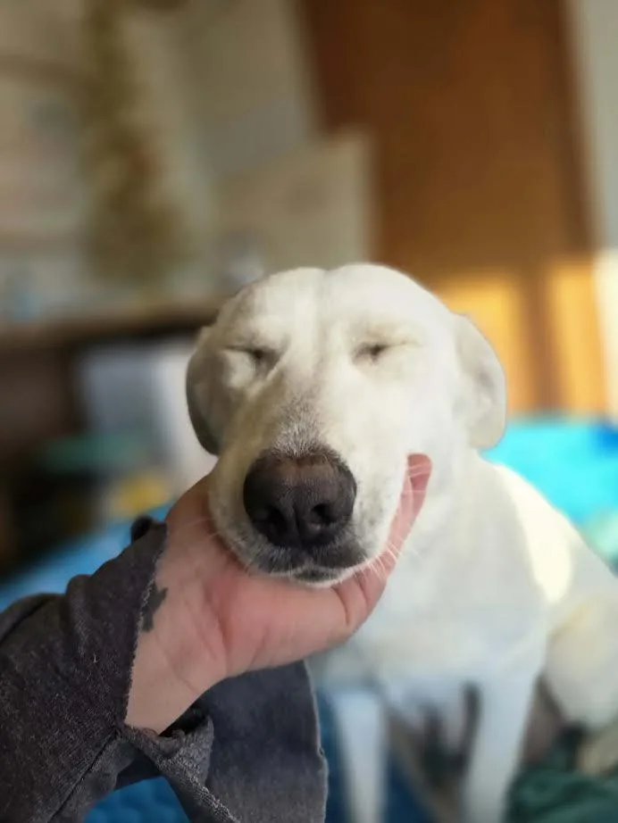 Martha May thumbnail 2