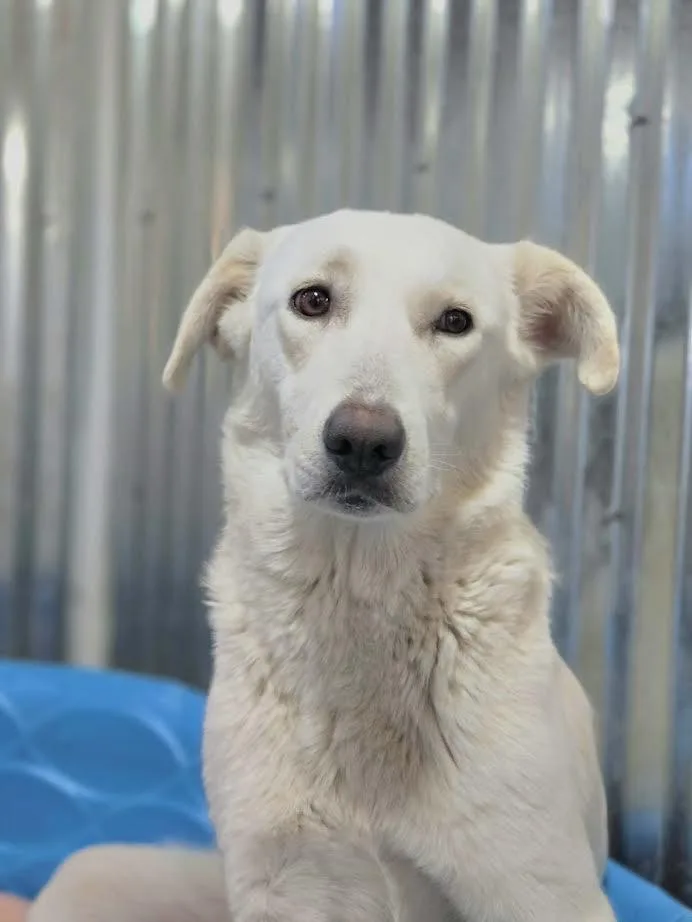 Martha May thumbnail 3