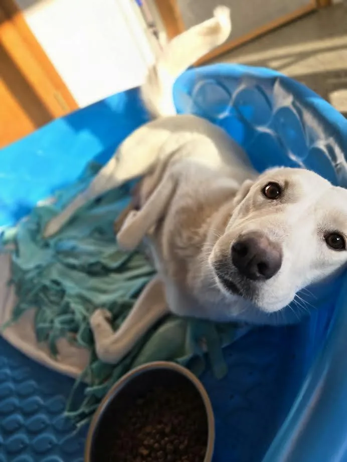 Martha May thumbnail 4