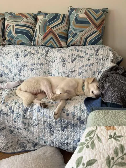 Martha May thumbnail 5