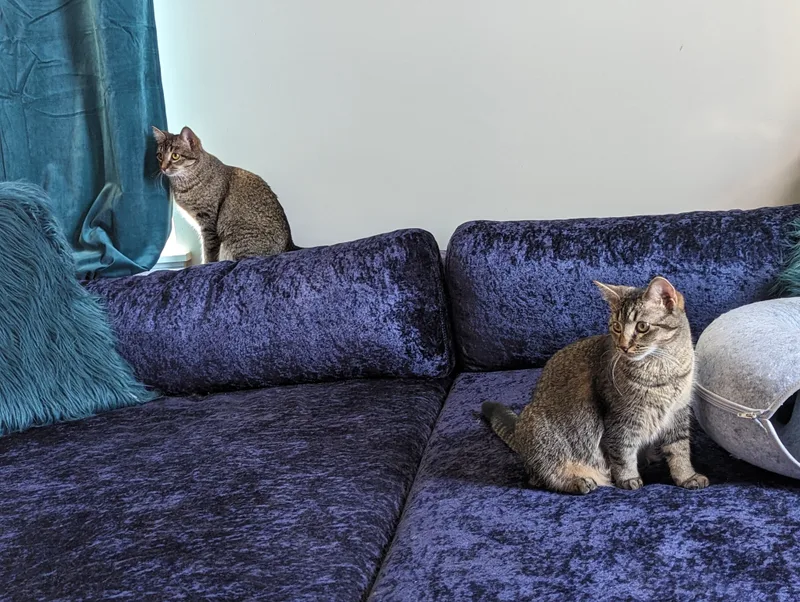 Omelette & Muffin thumbnail 2