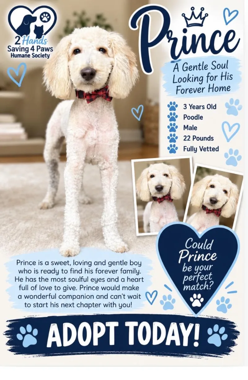 Prince thumbnail 2