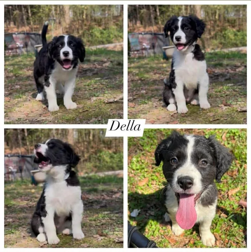 Della
