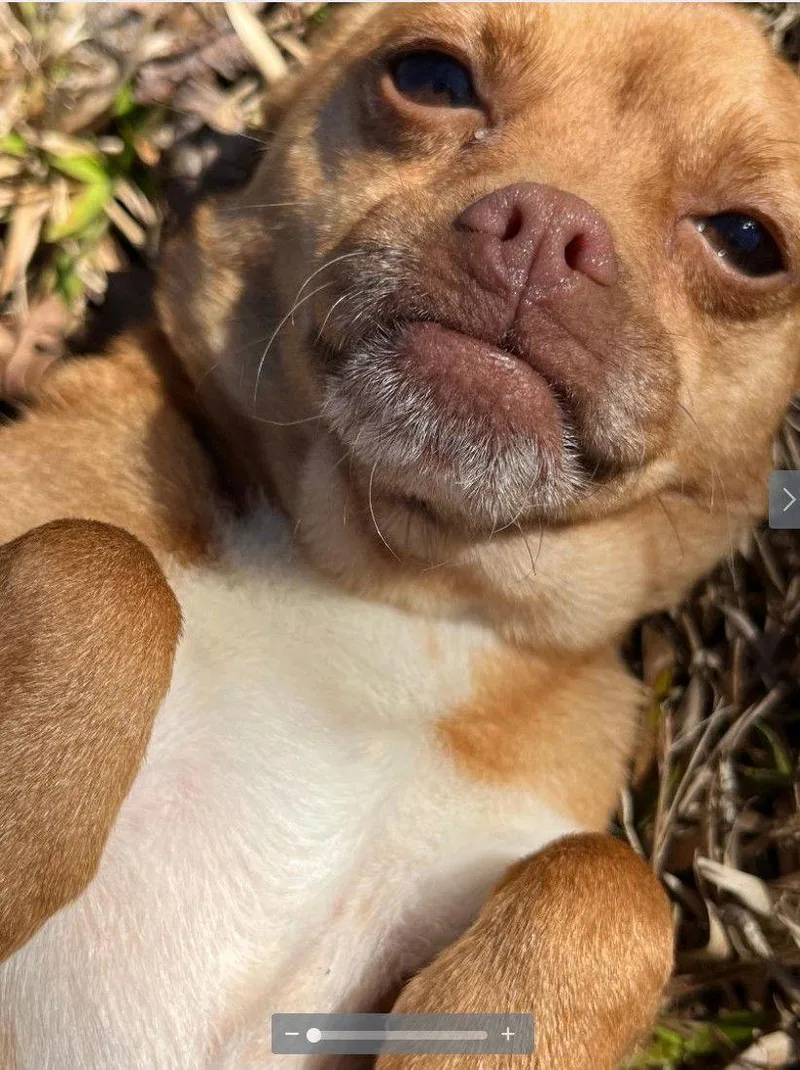 Mia & Sharipomchi Mix thumbnail 2