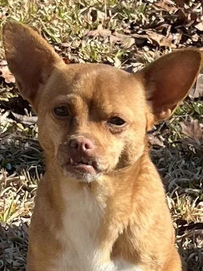 Mia & Sharipomchi Mix thumbnail 3