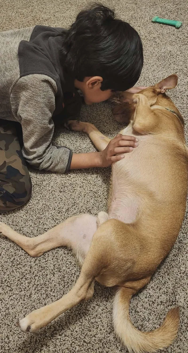 Fortune Cookie thumbnail 2