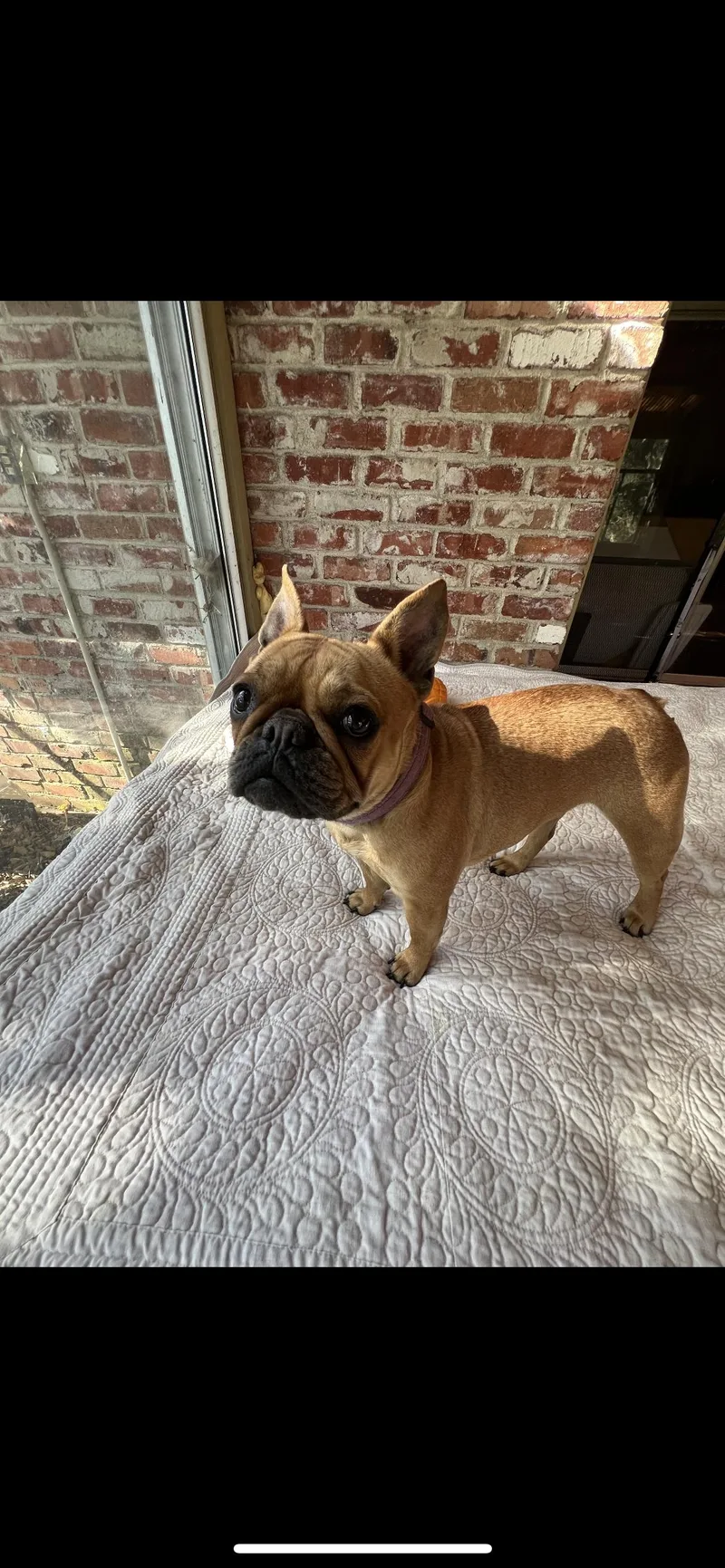 Lucy