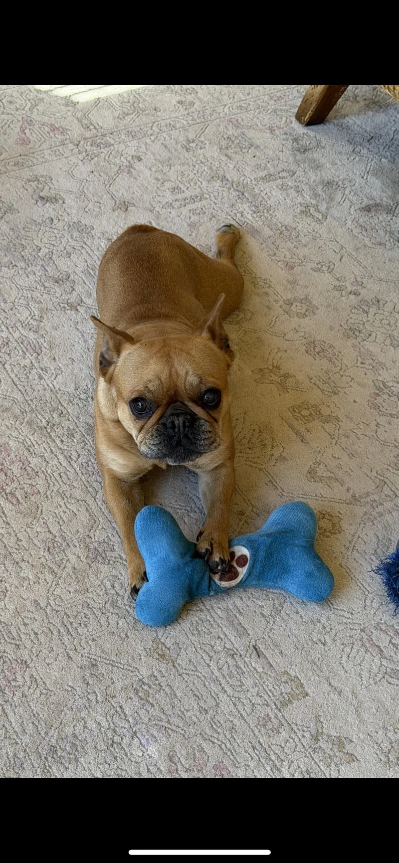 Lucy thumbnail 2