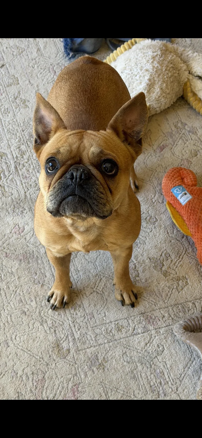 Lucy thumbnail 4