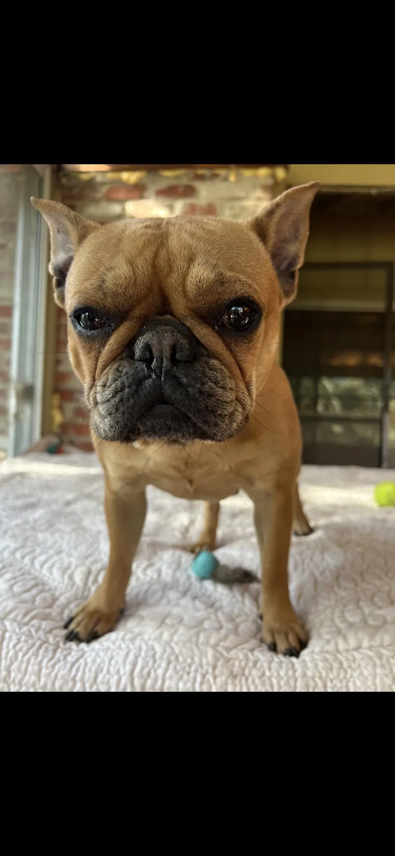 Lucy thumbnail 5