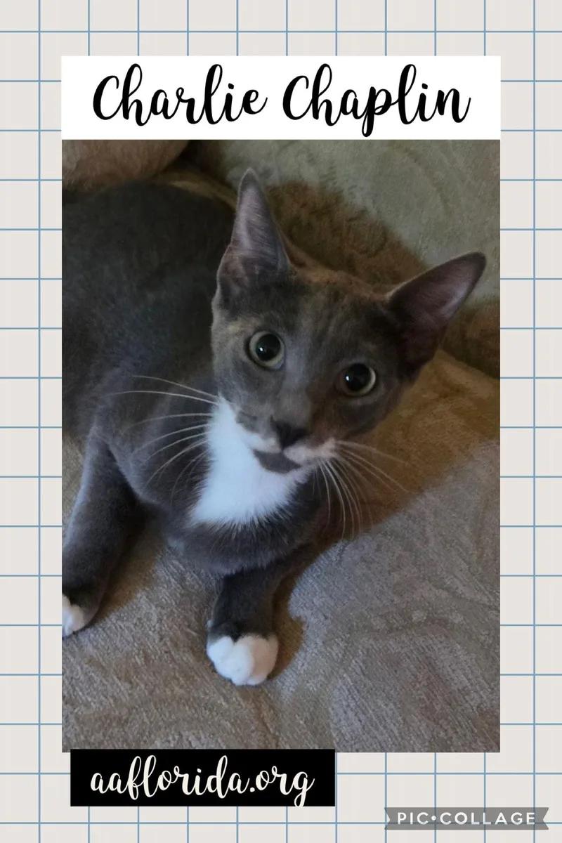 Charlie Chaplin