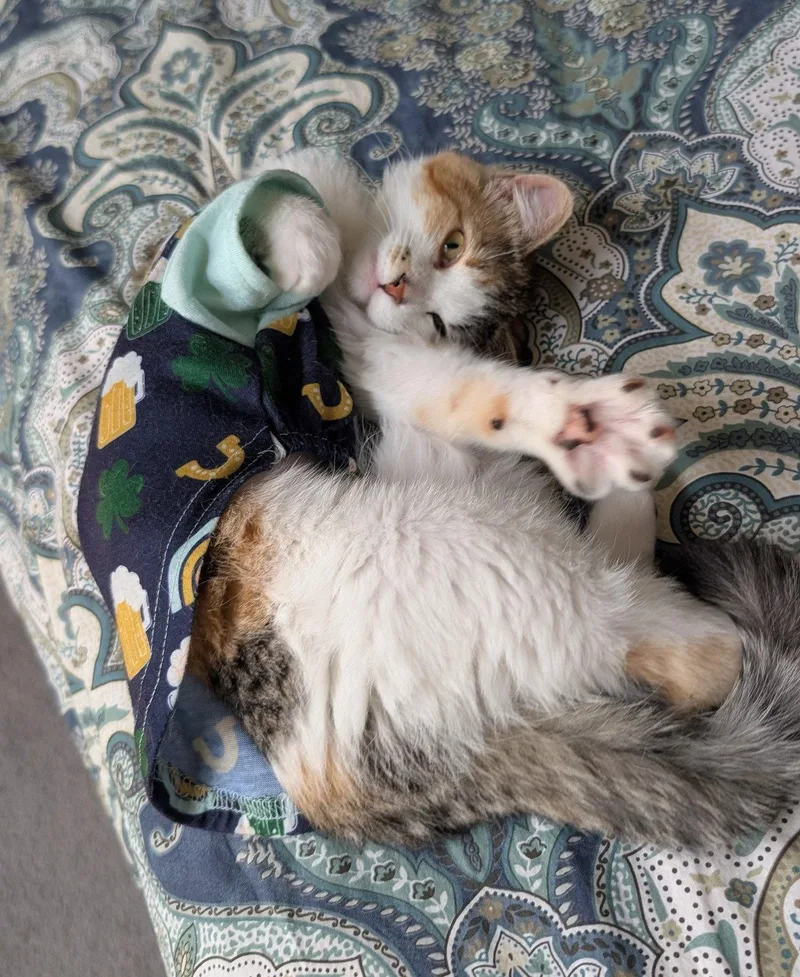 Matilda C thumbnail 2