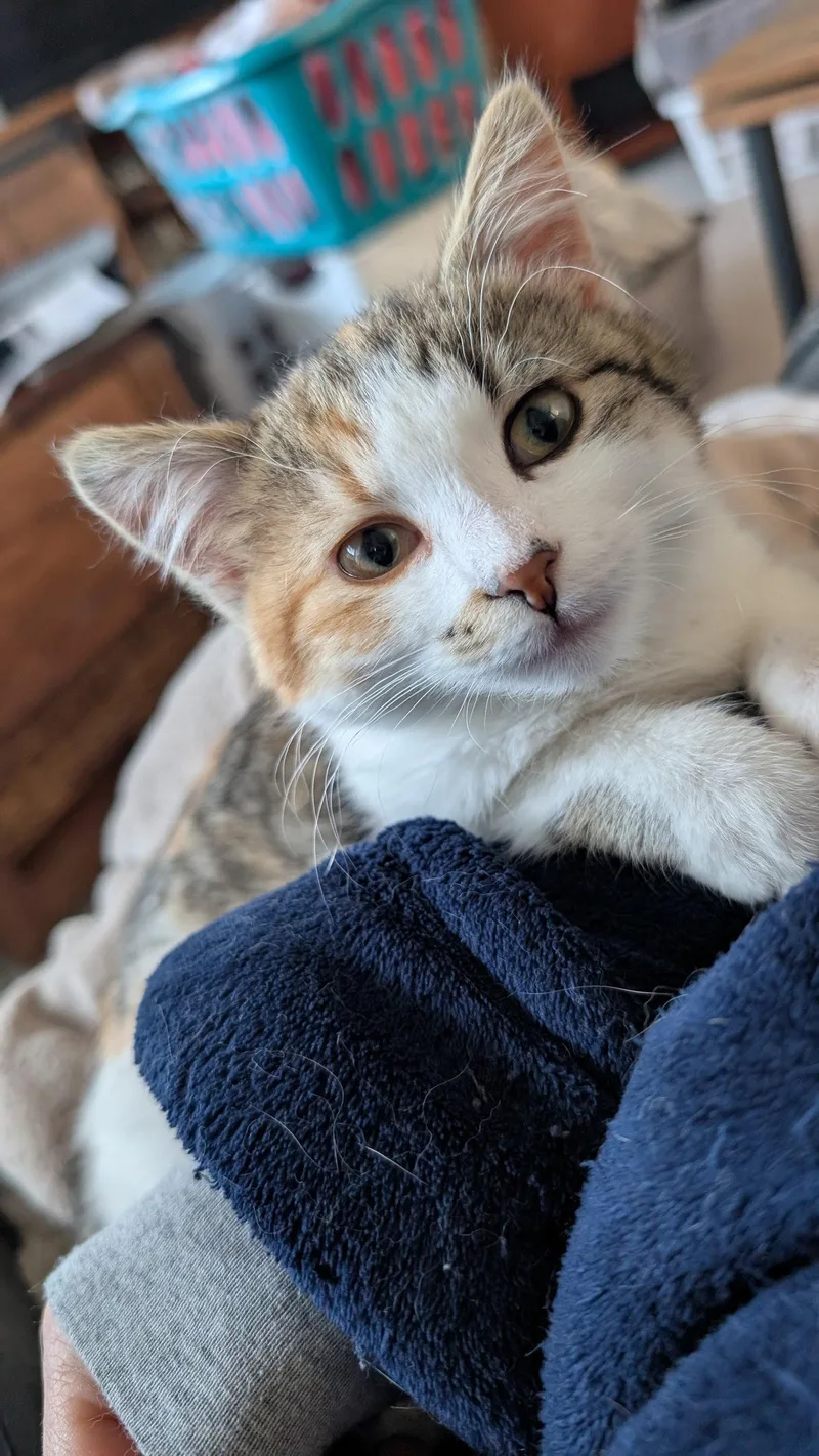 Matilda C thumbnail 3