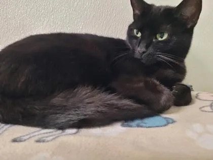 Wednesday thumbnail 2