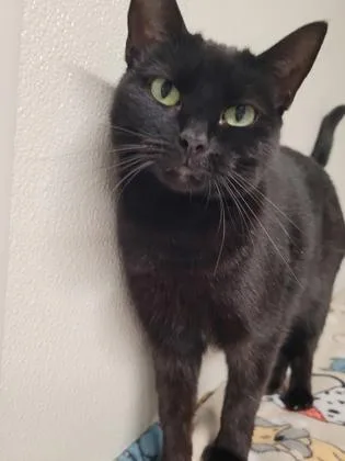 Wednesday thumbnail 3