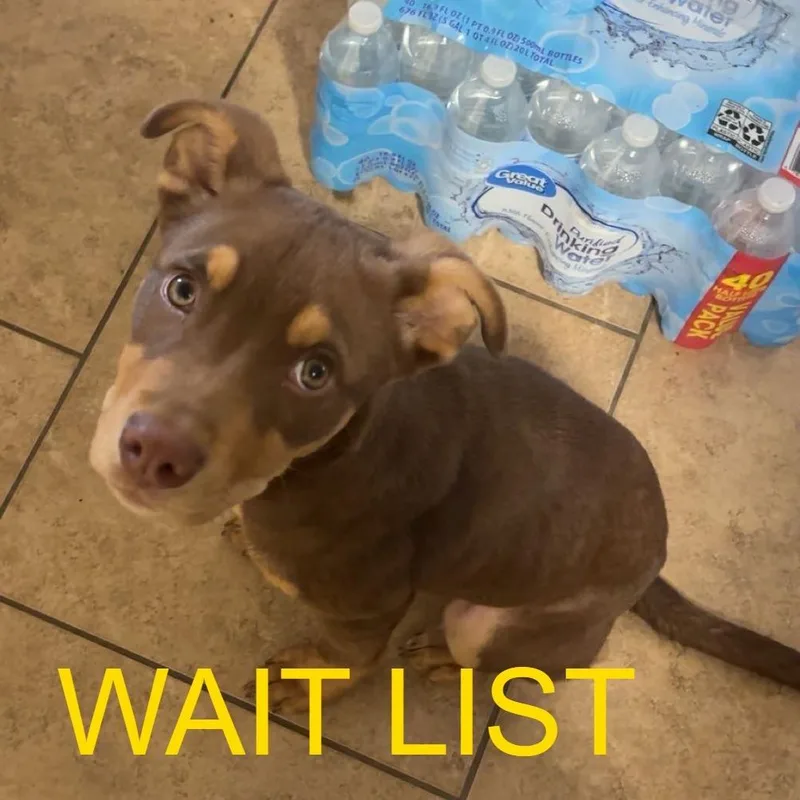 Zuko thumbnail 4
