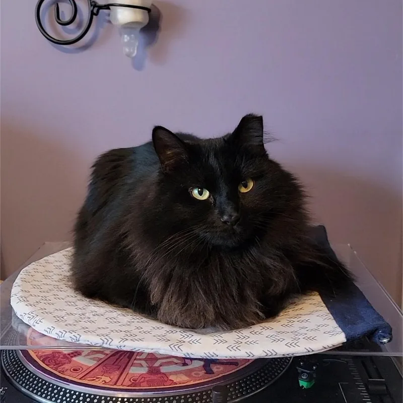 Minnie