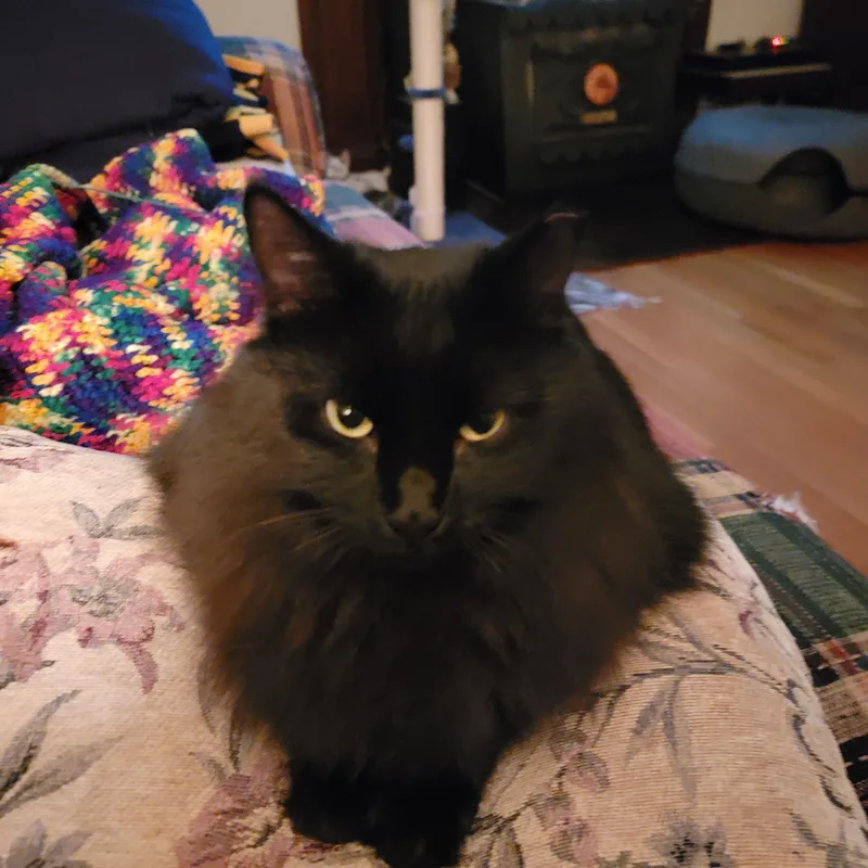 Minnie thumbnail 3