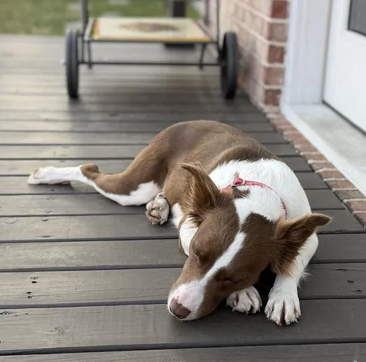 Faith Hill thumbnail 2