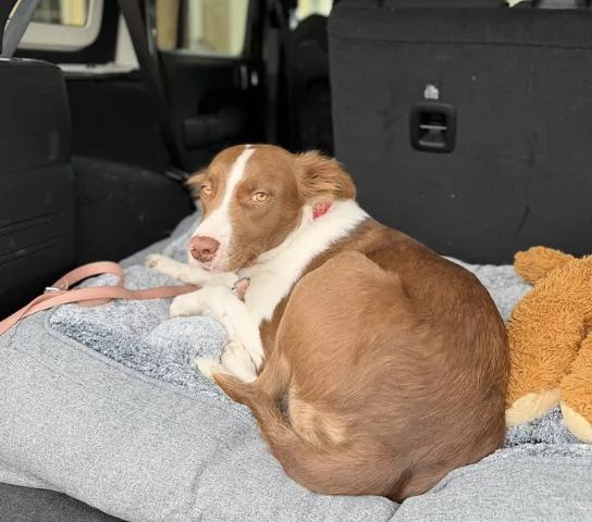 Faith Hill thumbnail 3