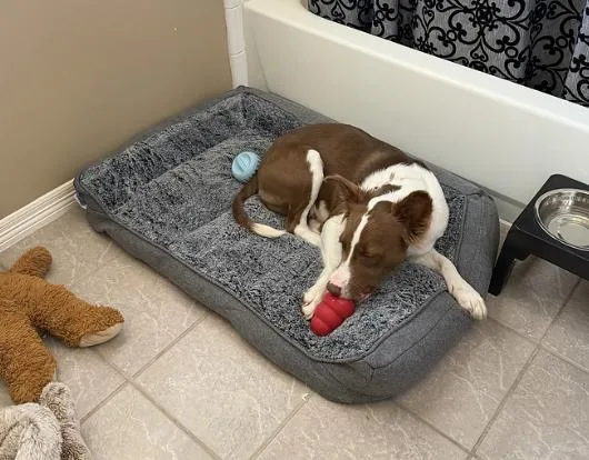 Faith Hill thumbnail 4