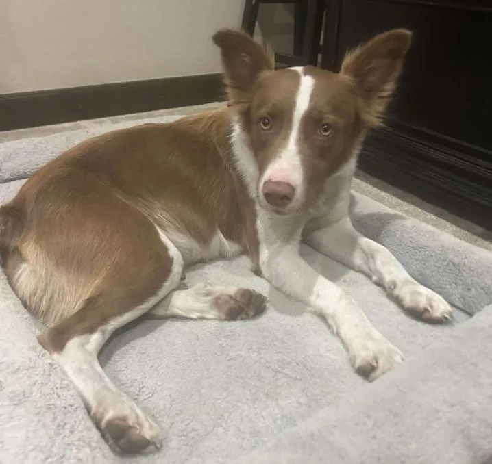 Faith Hill thumbnail 5