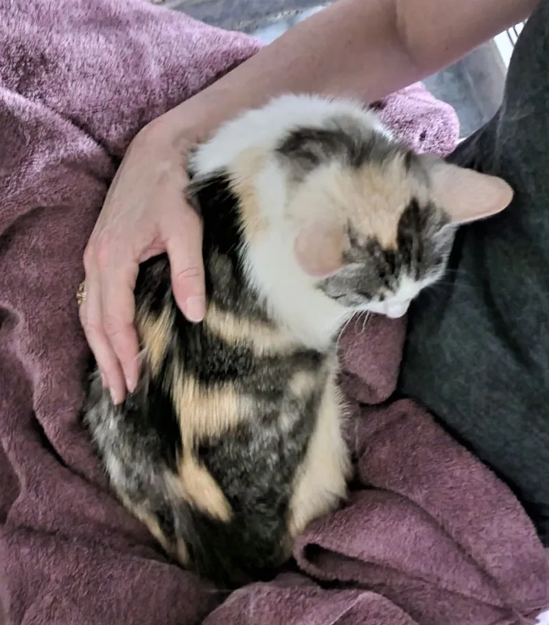 Precious thumbnail 2