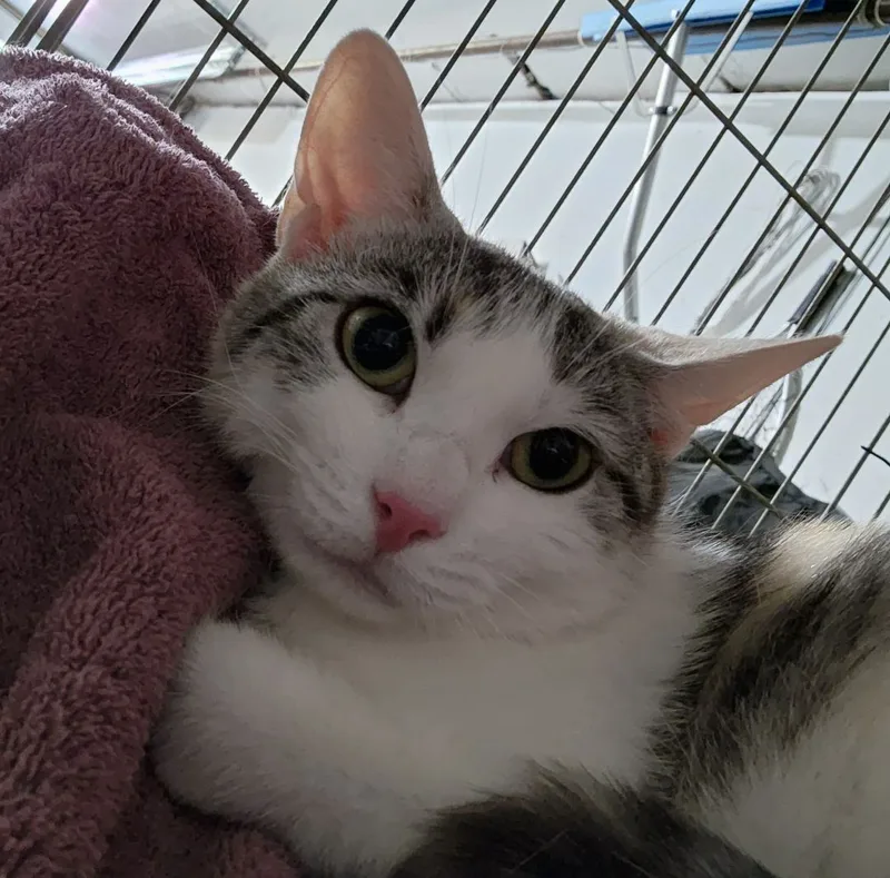 Precious thumbnail 4