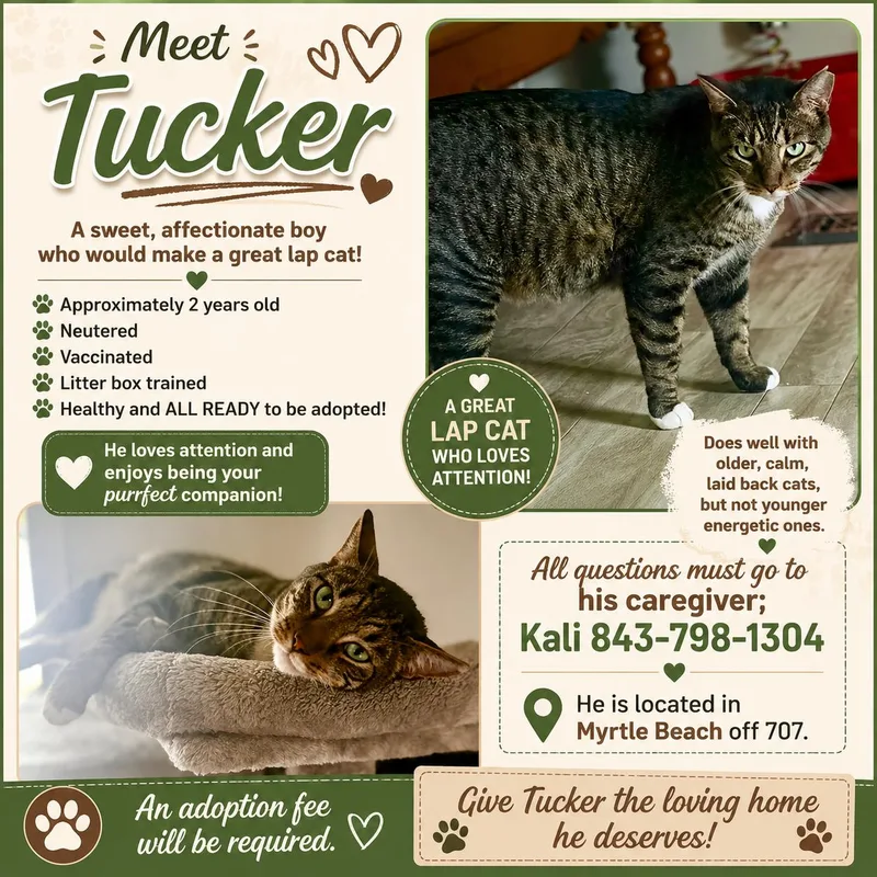 Tucker