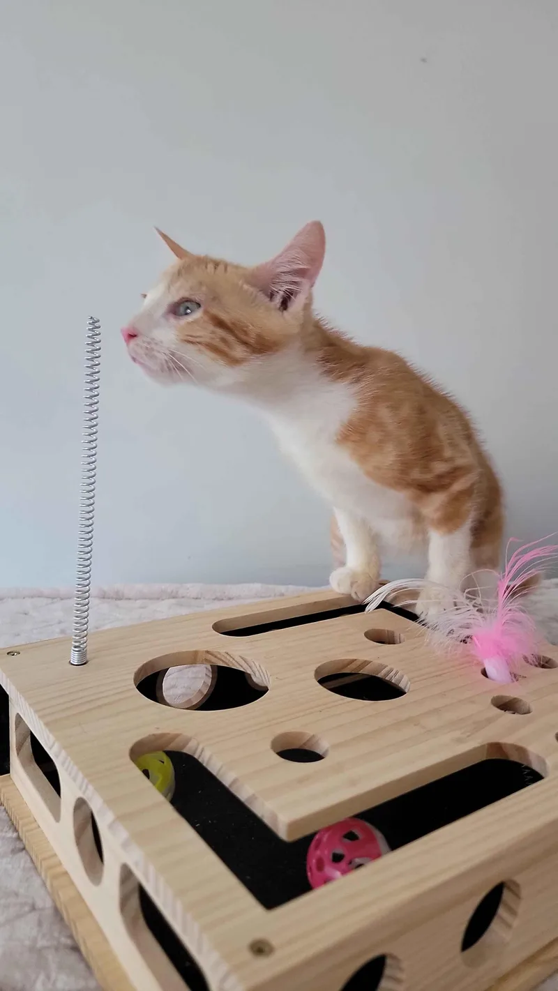 Bamboo thumbnail 3
