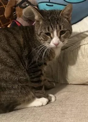 Mr. Feeny thumbnail 2