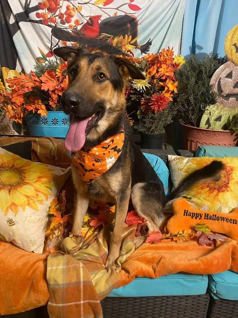 Awesome Paul The  thumbnail 2